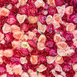 Kaufe rosa Rosen für verschiedene Anlässe