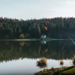 Futterboot mit GPS und Echolot: smarter füttern, präziser angeln
