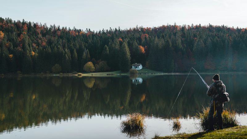 Futterboot mit GPS und Echolot: smarter füttern, präziser angeln